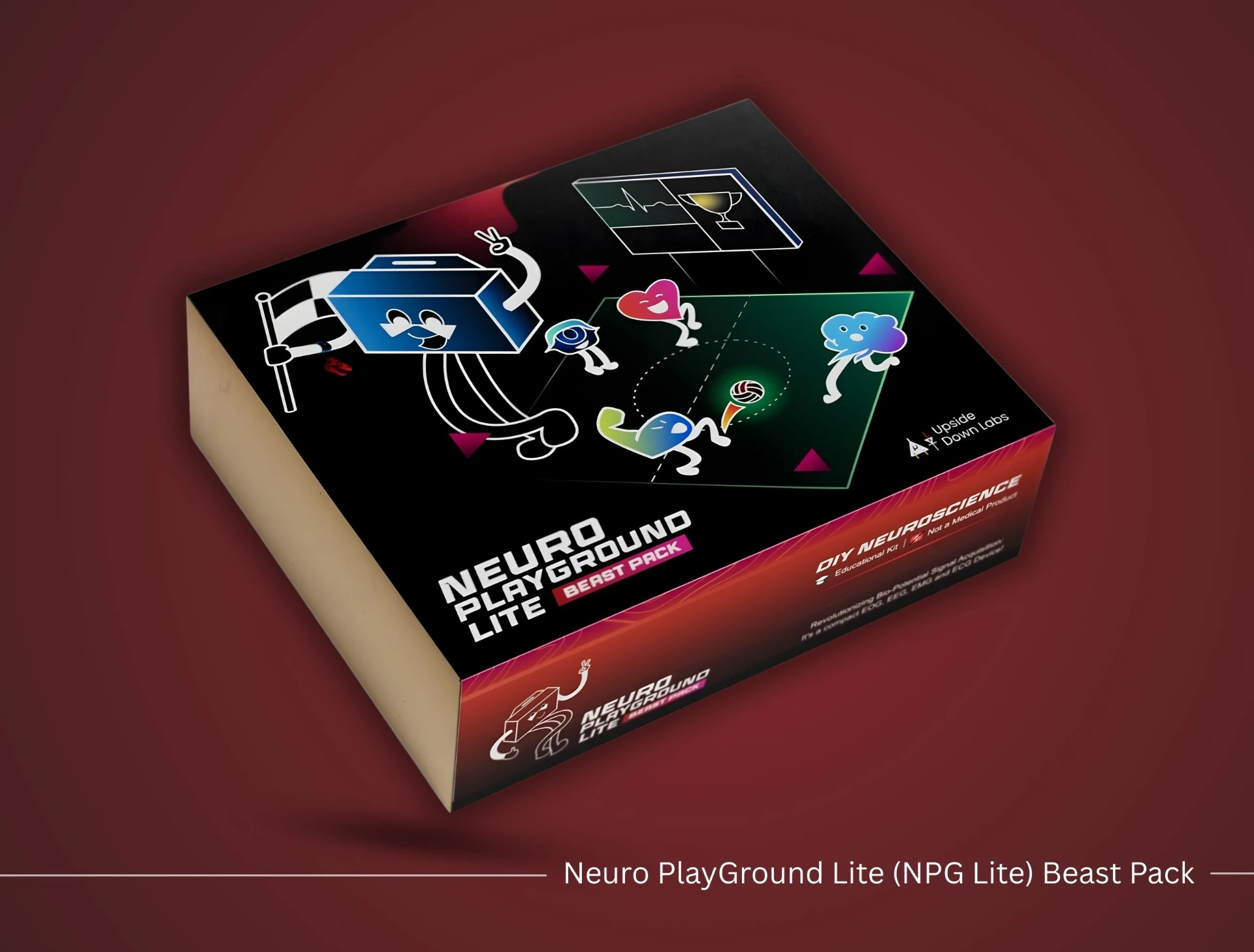 Neuro PlayGround Lite (NPG Lite)